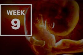 Week 9 Pregnancy: Navigating the Changes and Embracing Growth
